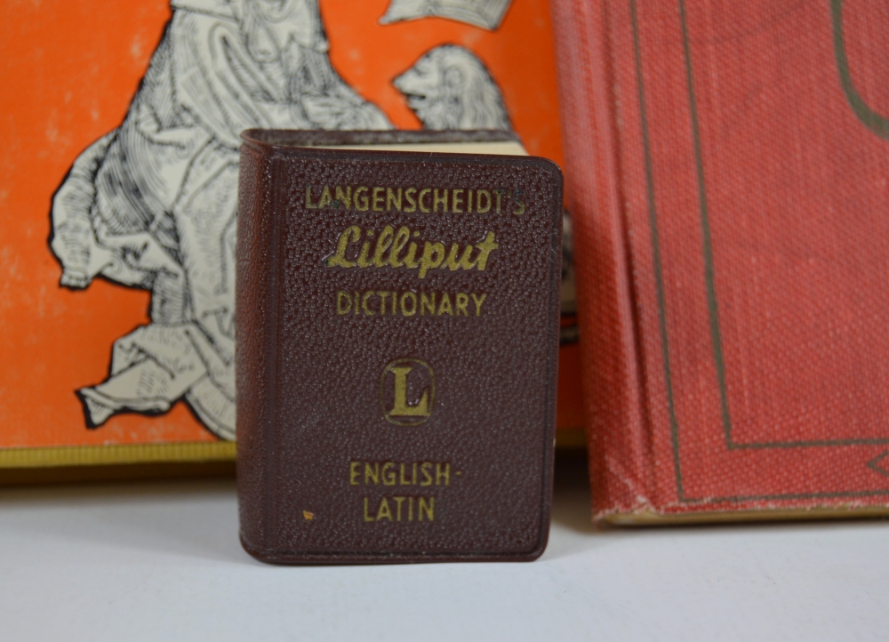 Not Your Normal Dictionary And Phrase Books