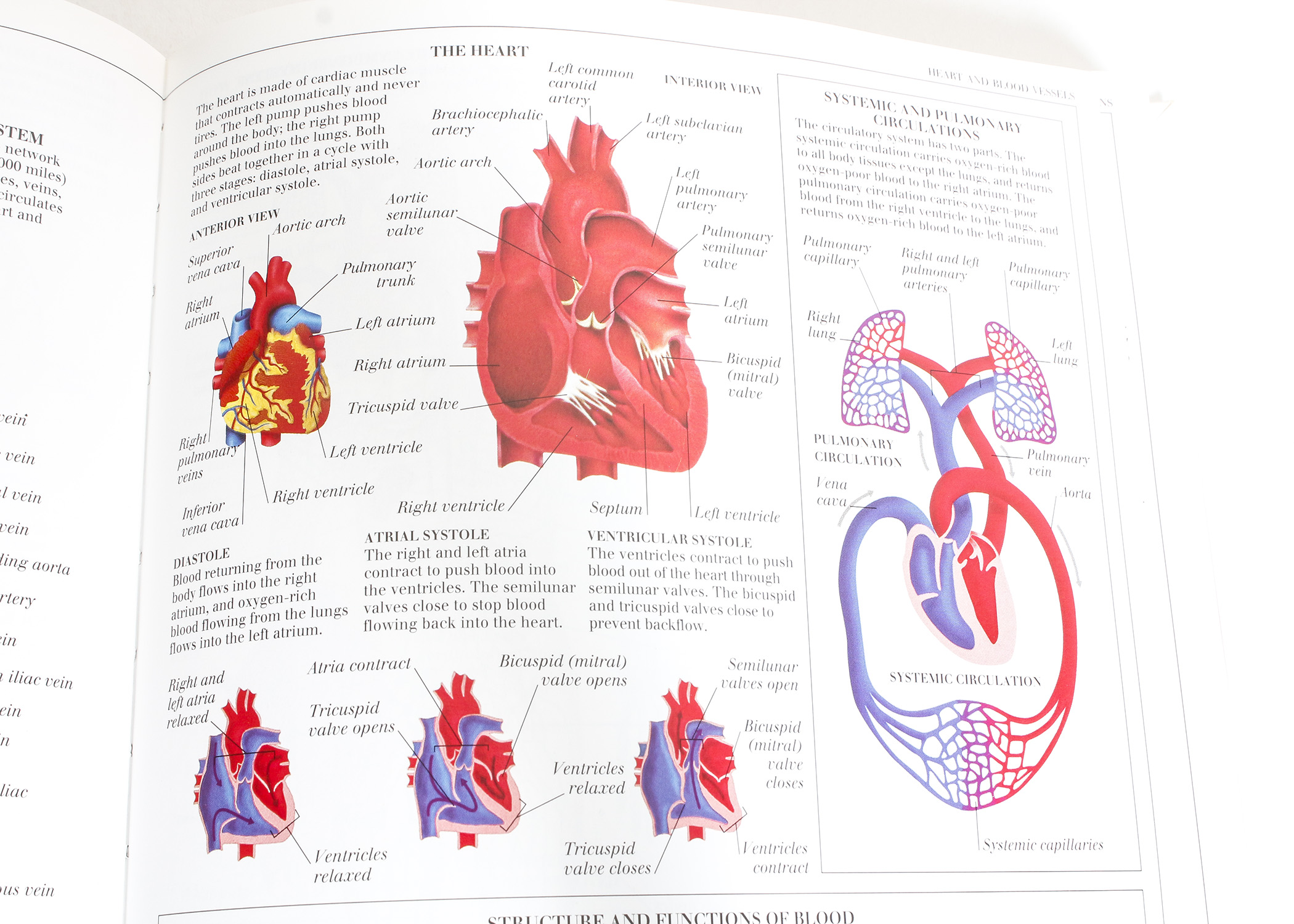 Assortment of Science Books