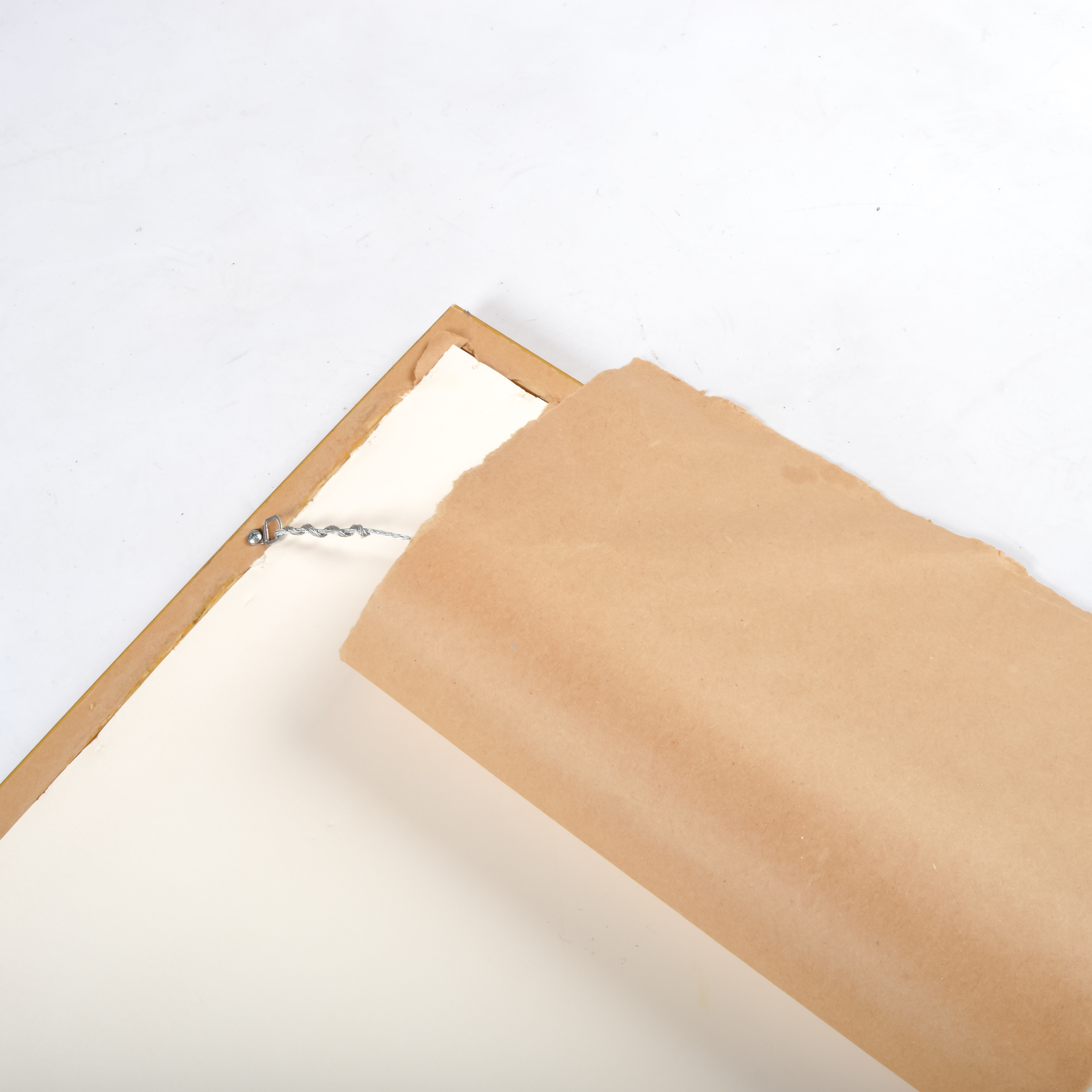 Pair of Antique Botanical Prints