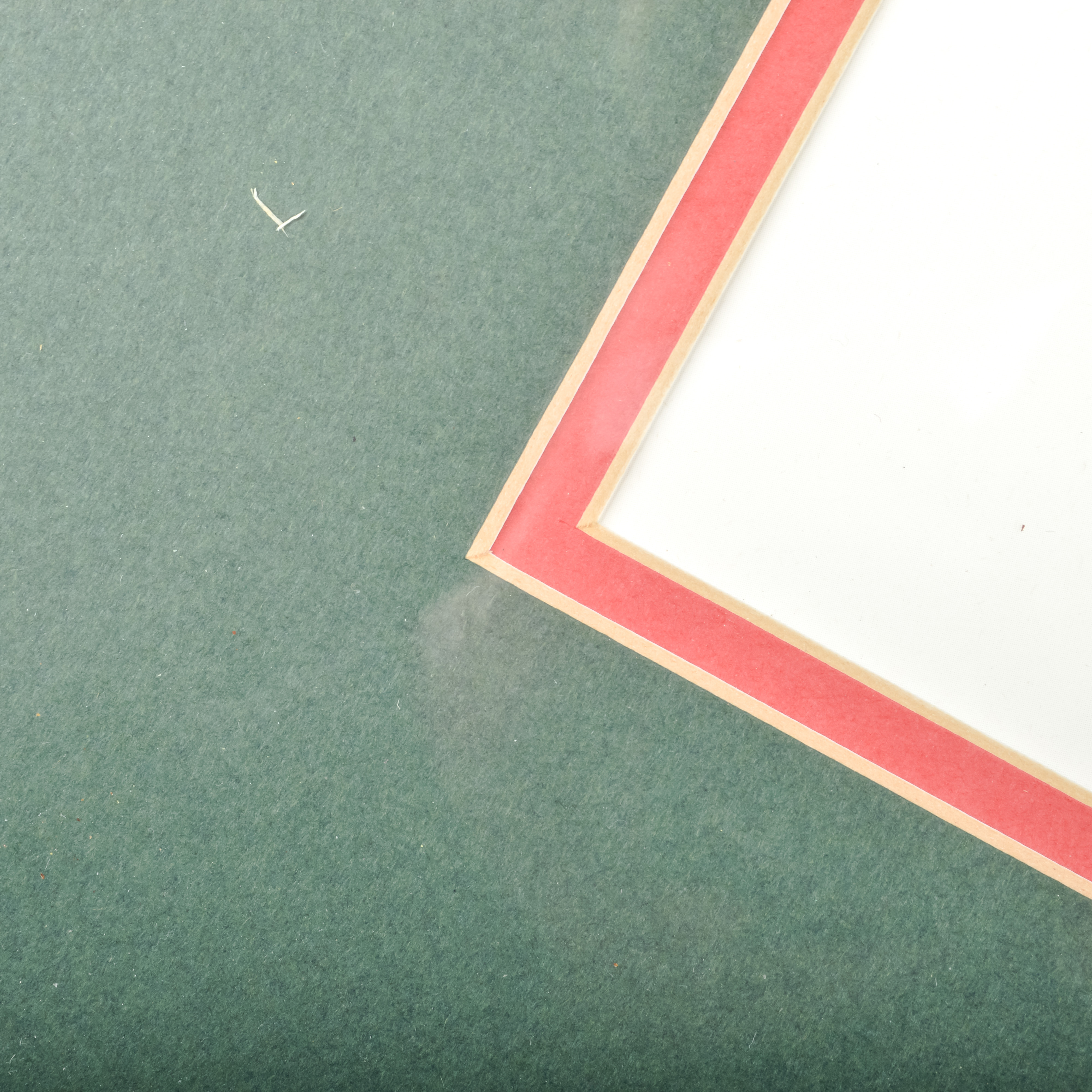 Pair of Antique Botanical Prints