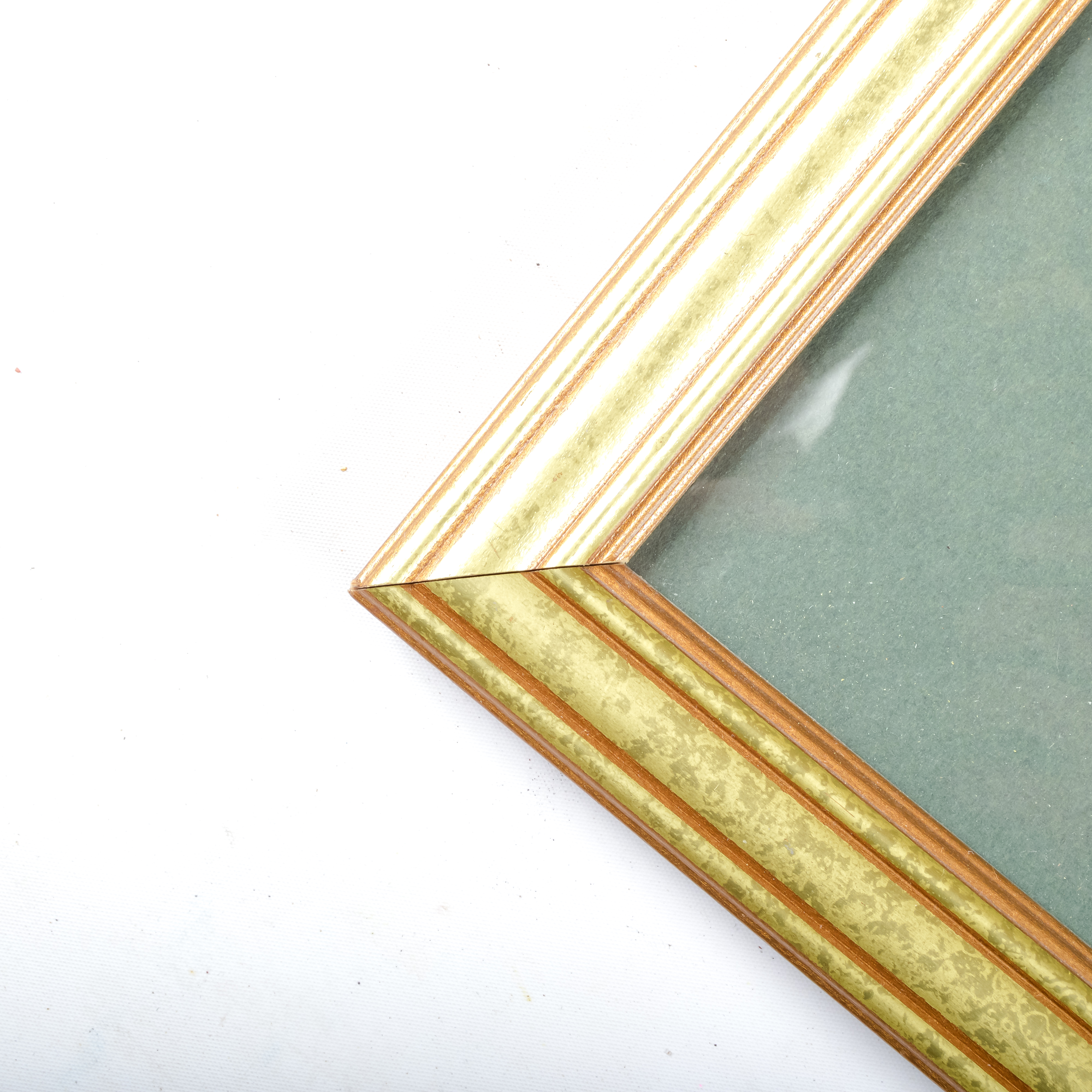 Pair of Antique Botanical Prints