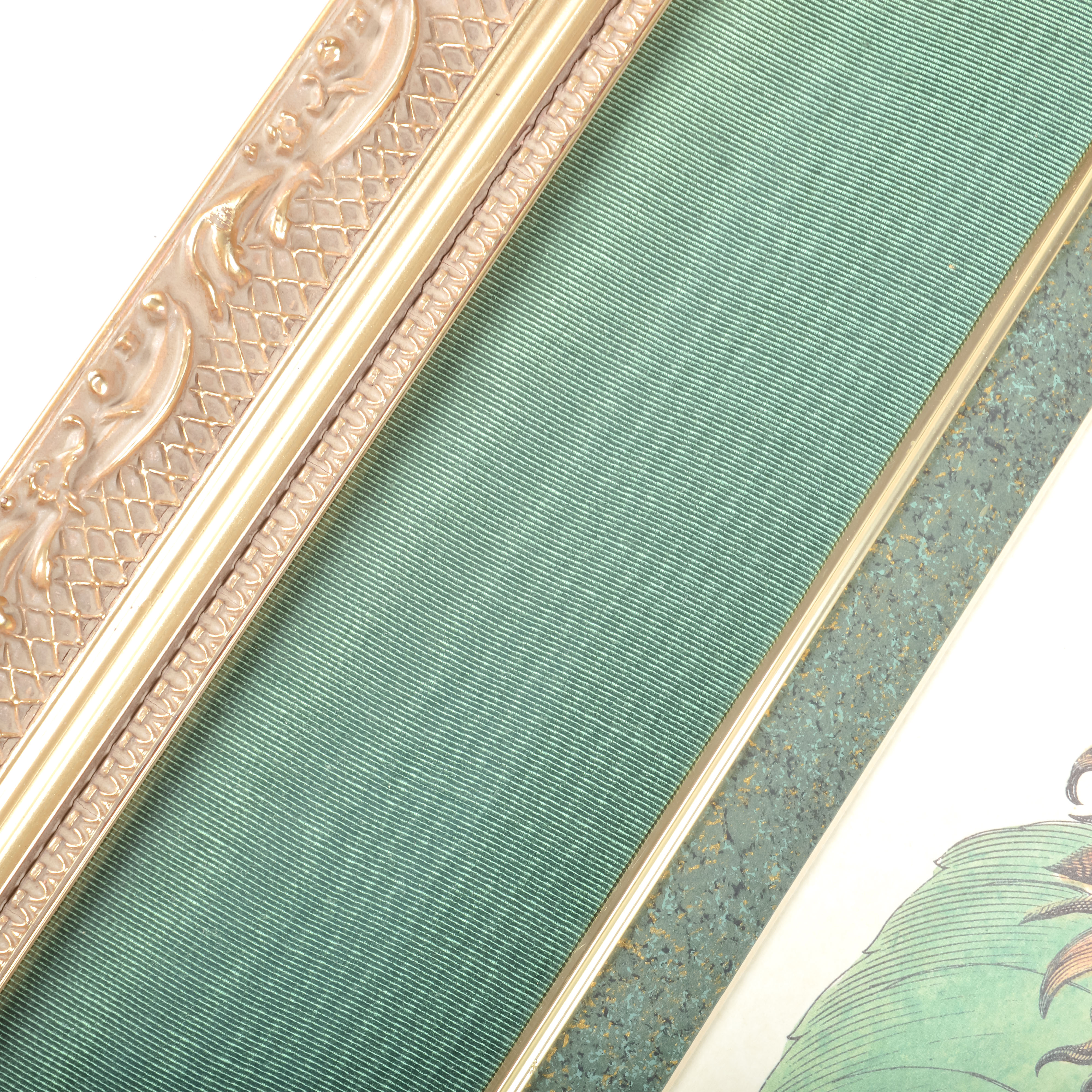 Pair of Grafiche Tassotti Botanical Prints