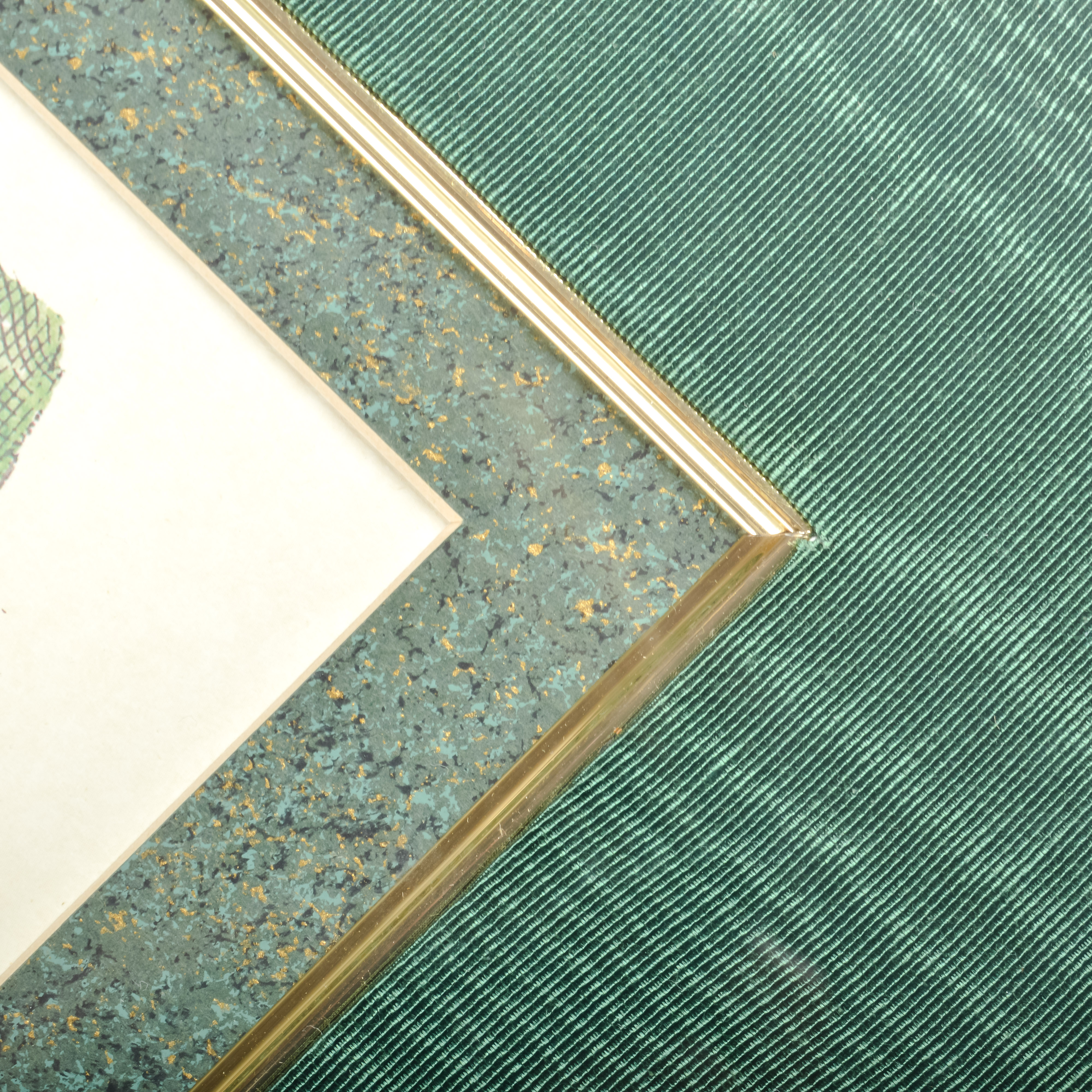 Pair of Grafiche Tassotti Botanical Prints