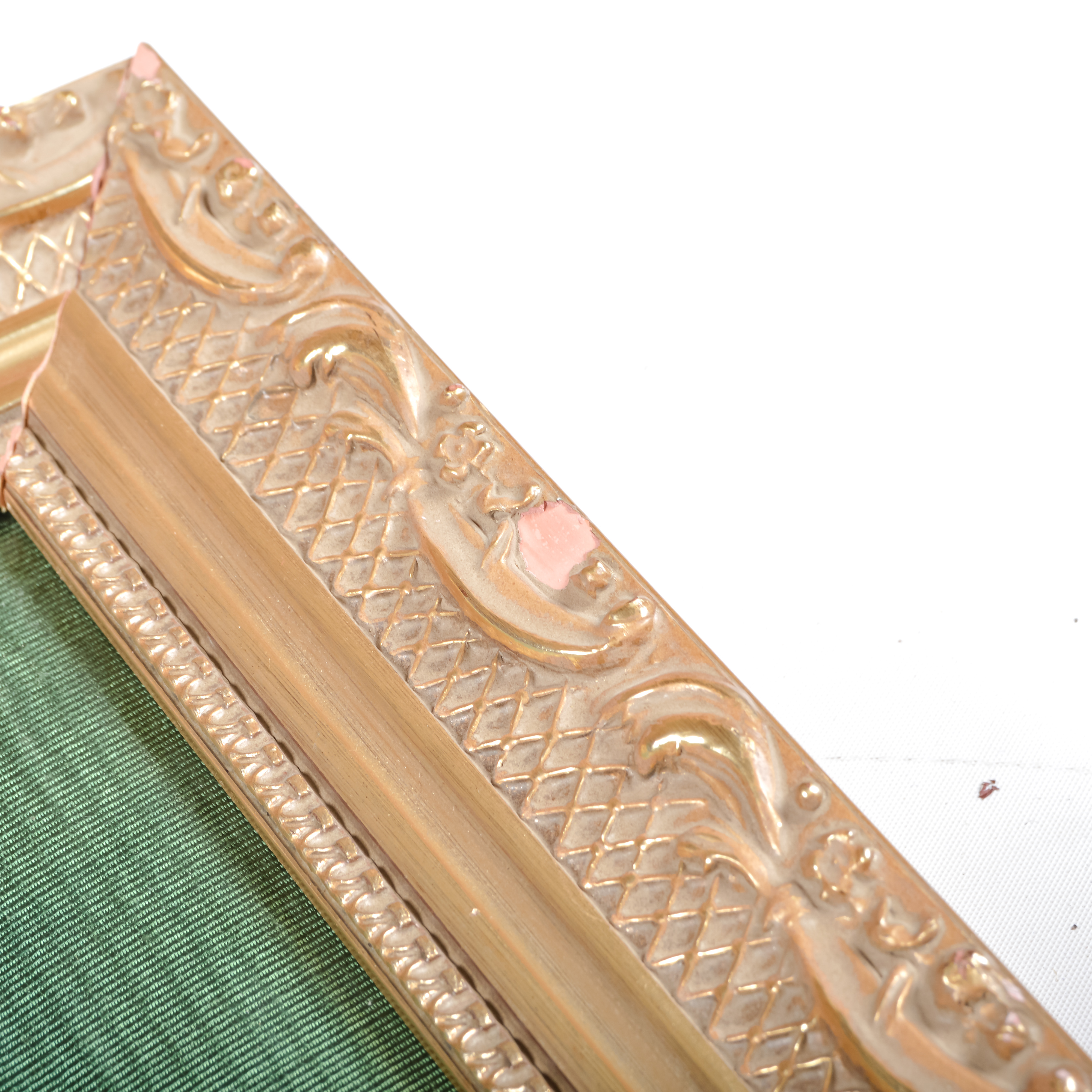 Pair of Grafiche Tassotti Botanical Prints