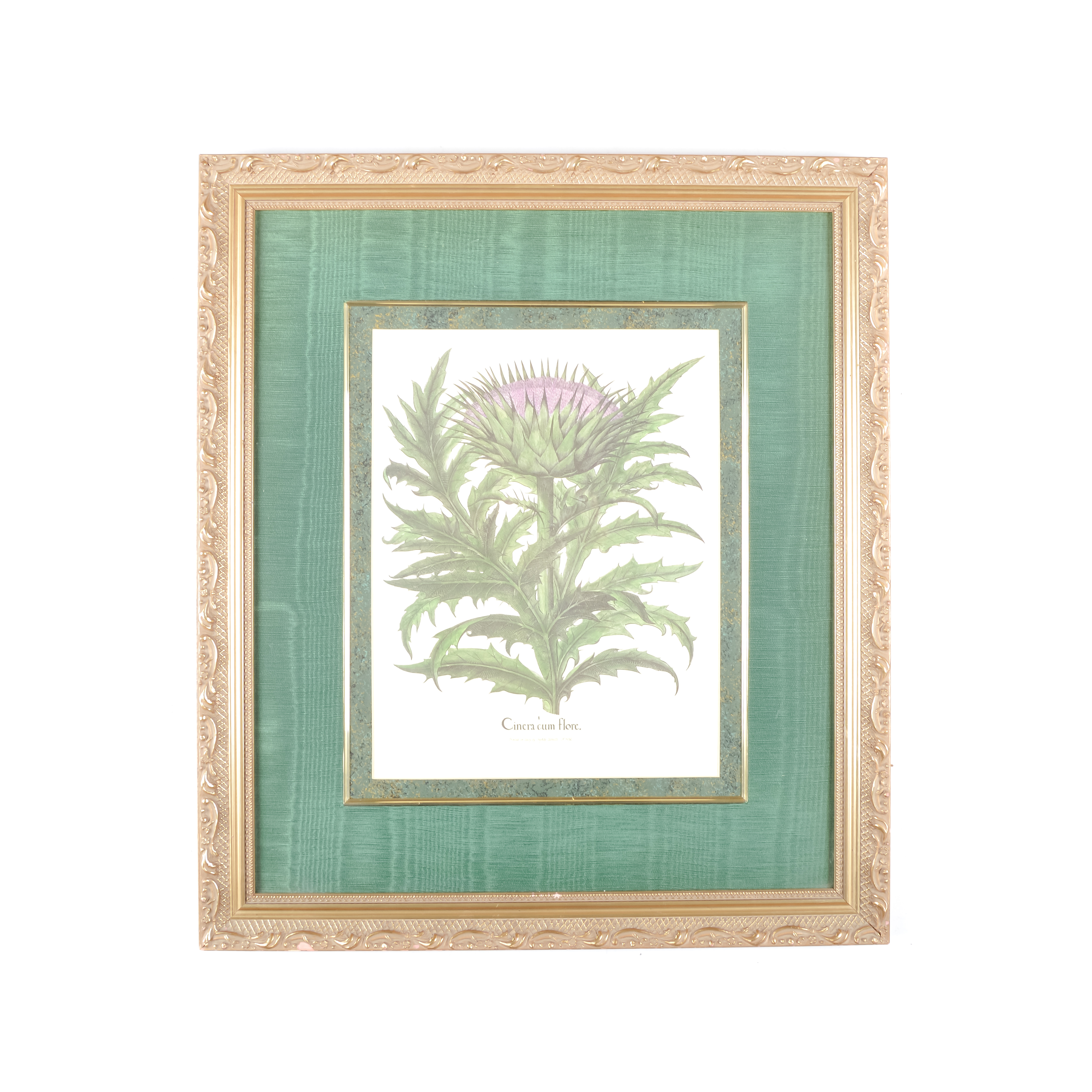 Pair of Grafiche Tassotti Botanical Prints