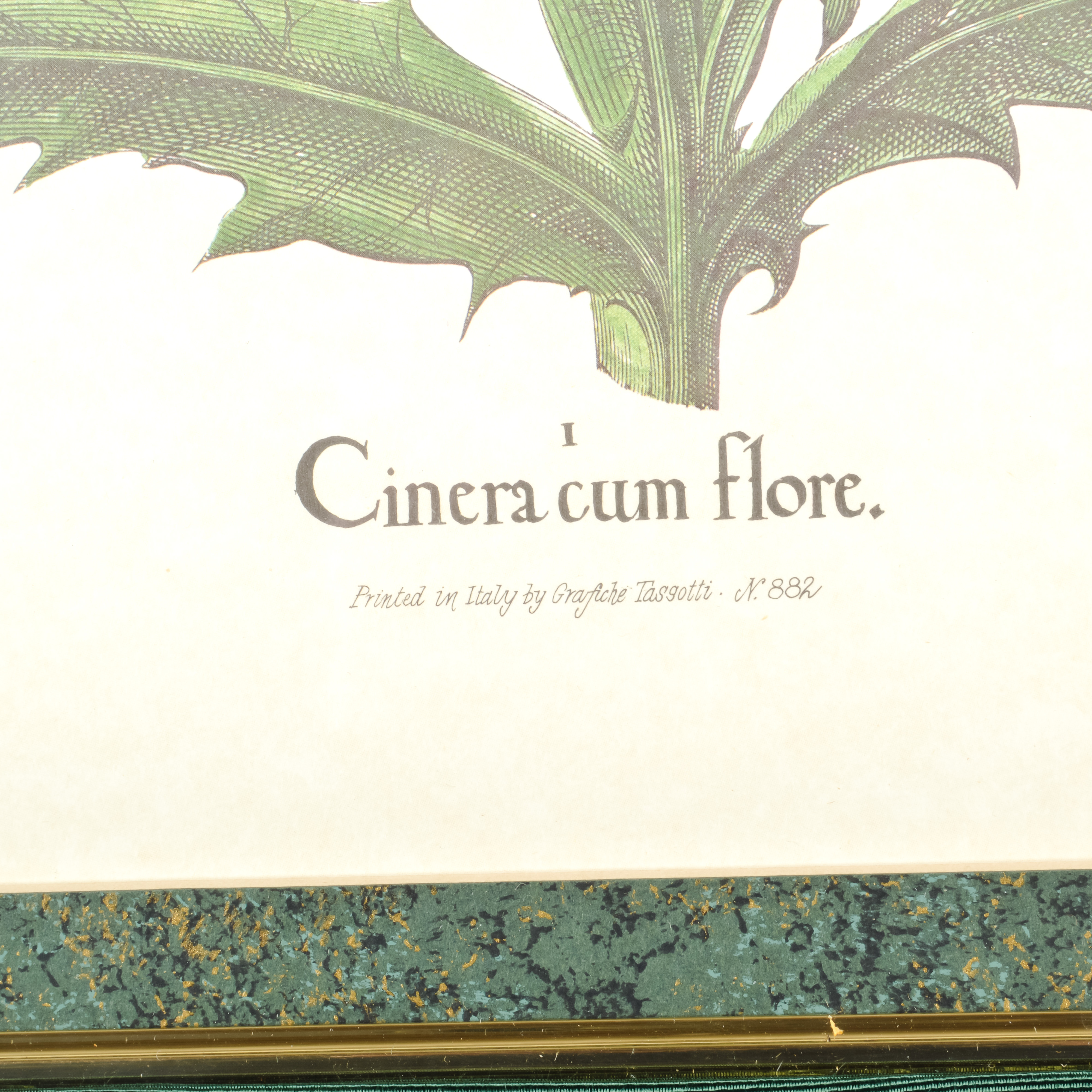 Pair of Grafiche Tassotti Botanical Prints