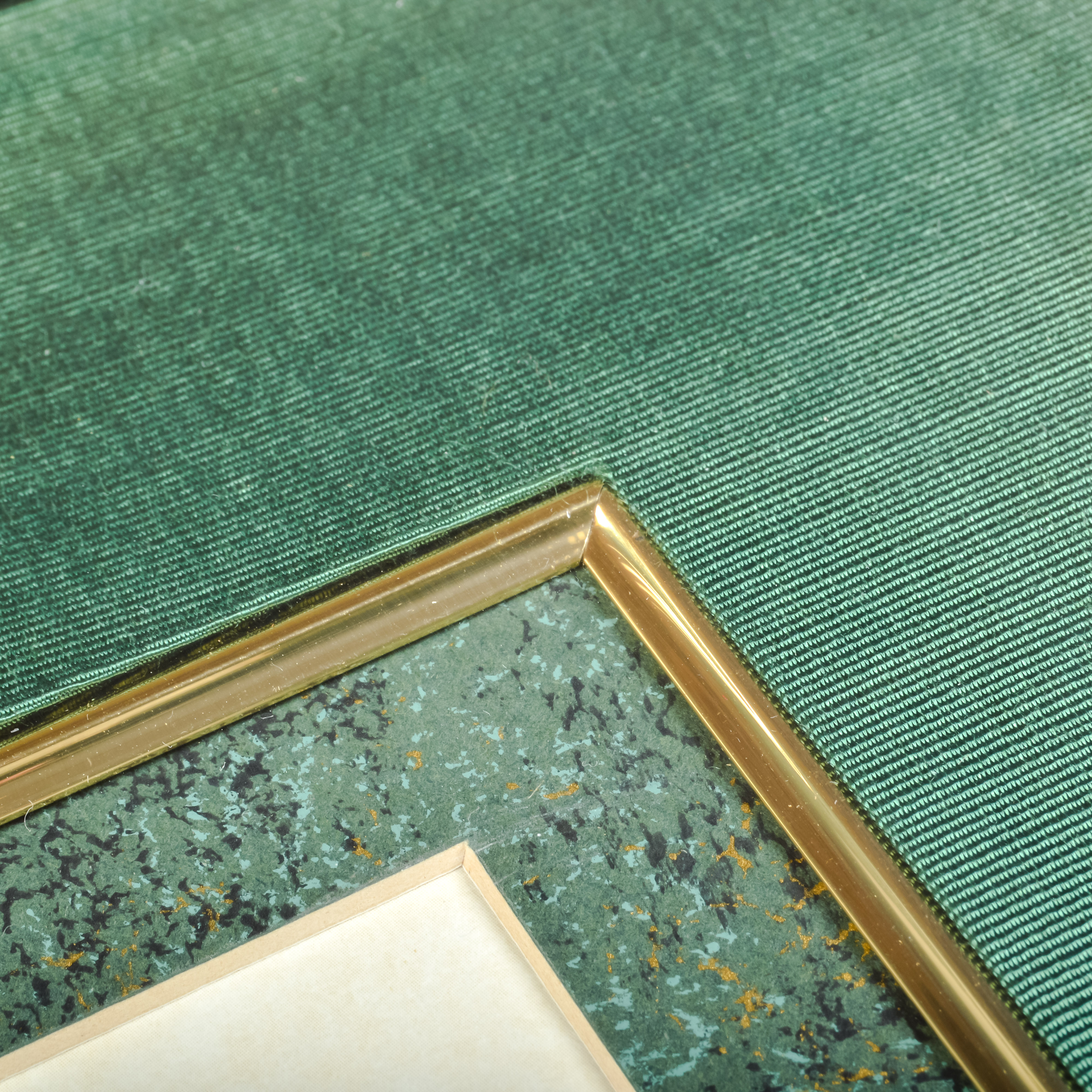 Pair of Grafiche Tassotti Botanical Prints