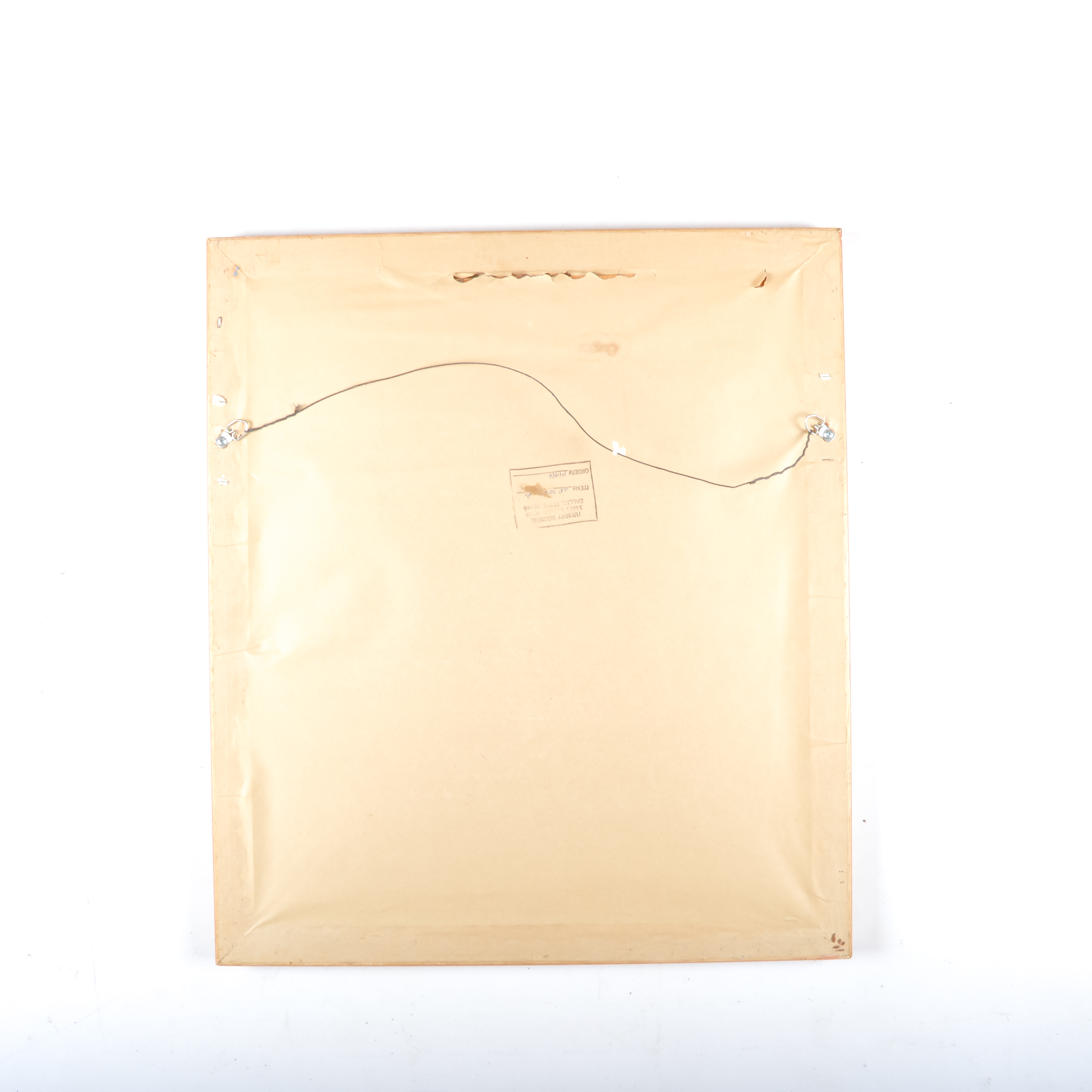 Pair of Grafiche Tassotti Botanical Prints