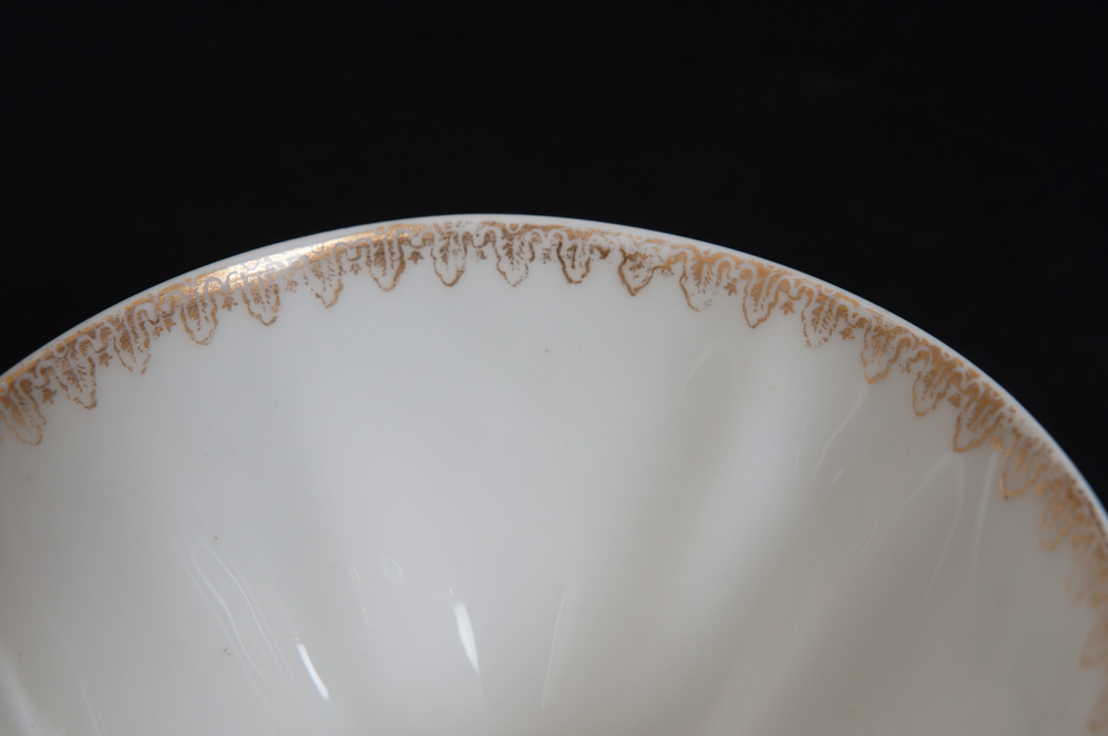 Antique Haviland for Fort Worth China Co Tea Set