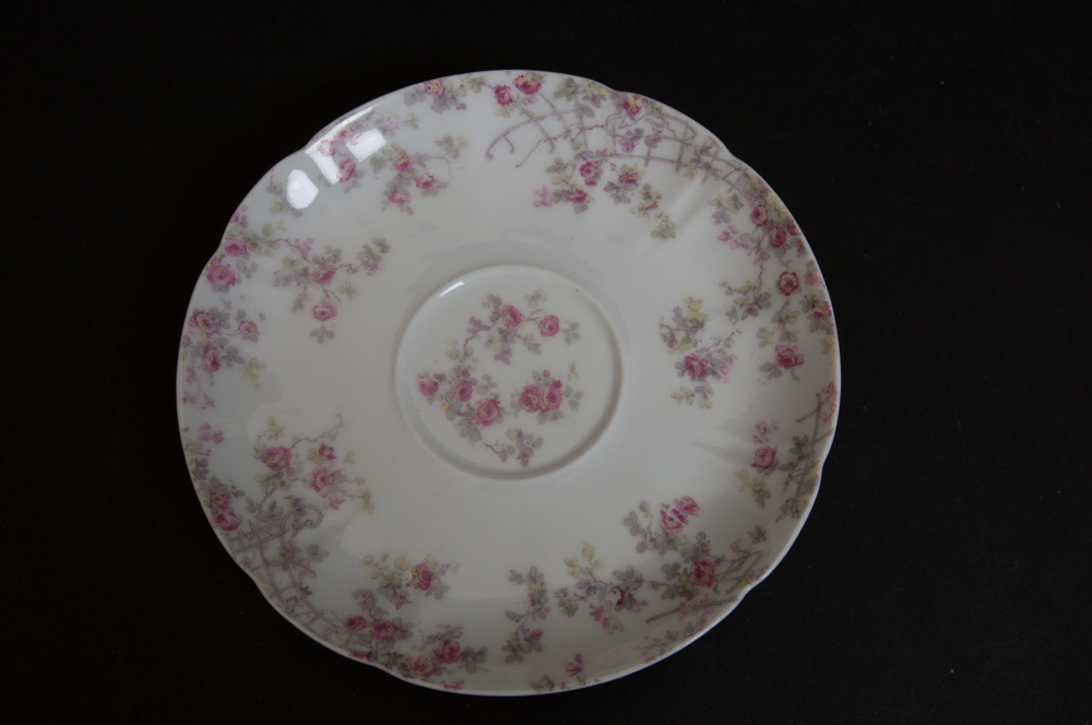 Antique Haviland for Fort Worth China Co Tea Set