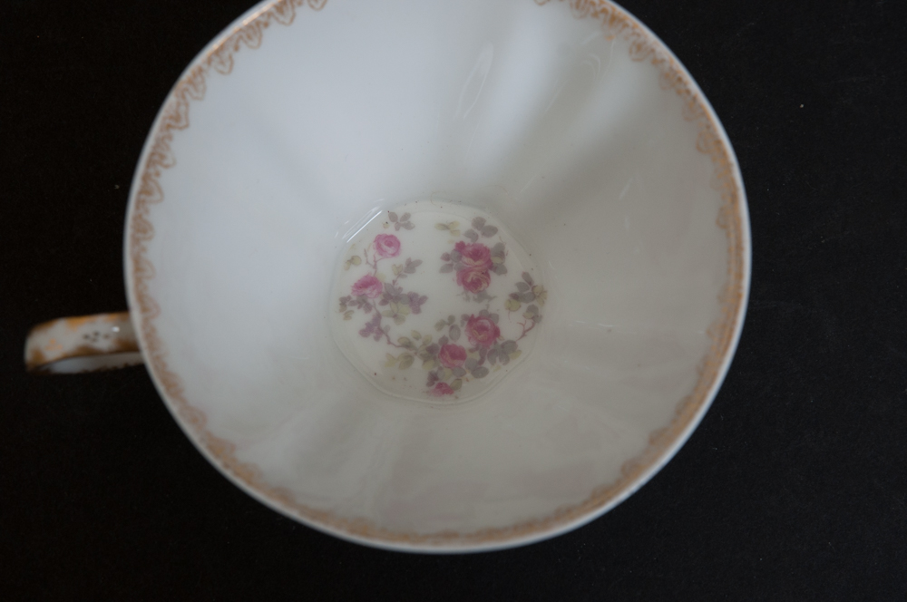 Antique Haviland for Fort Worth China Co Tea Set