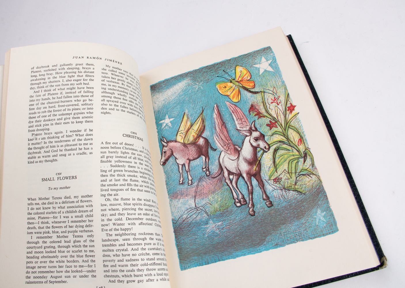 Collection of Nobel Prize Library Books