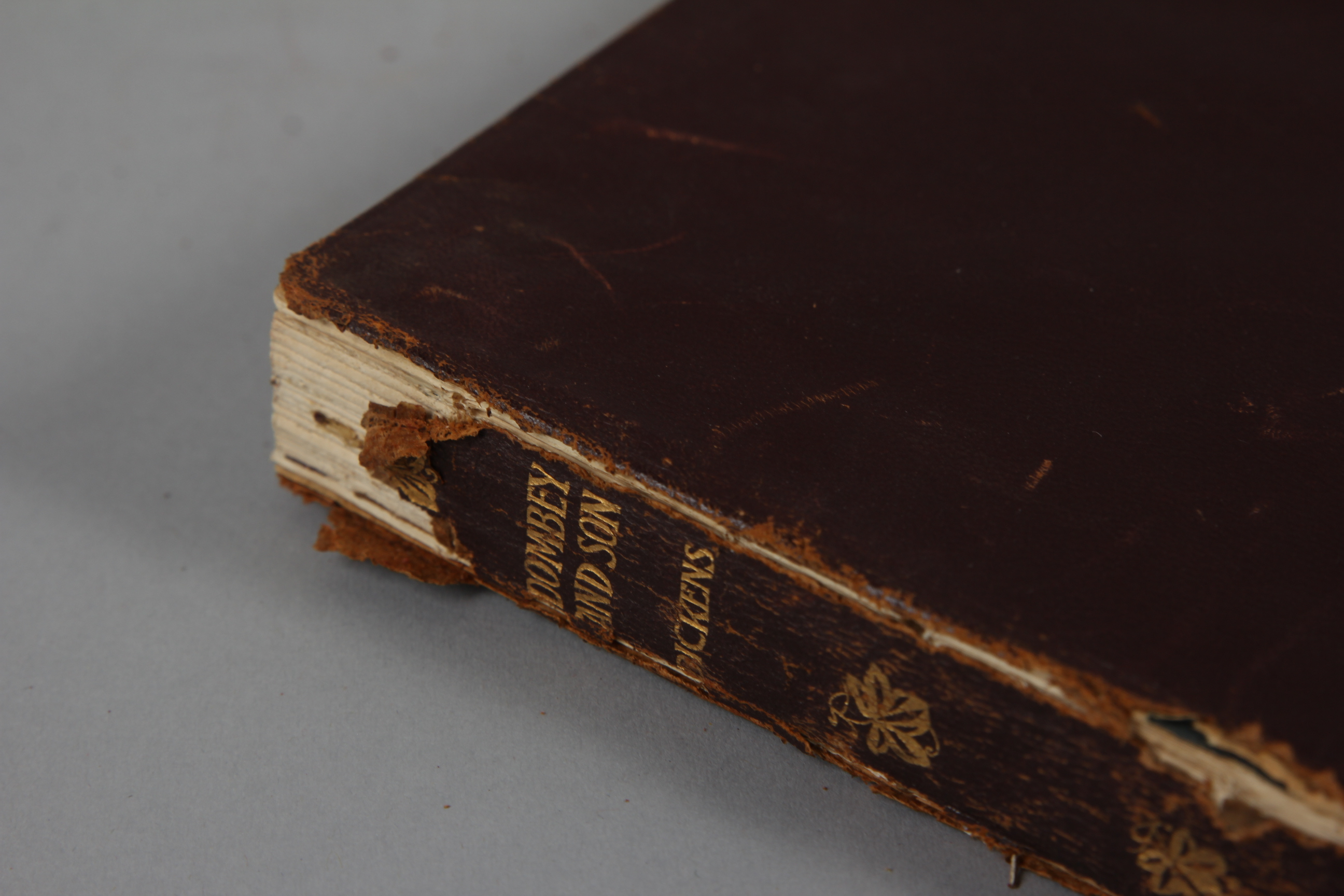 New Century Library: The Works of Charles Dickens