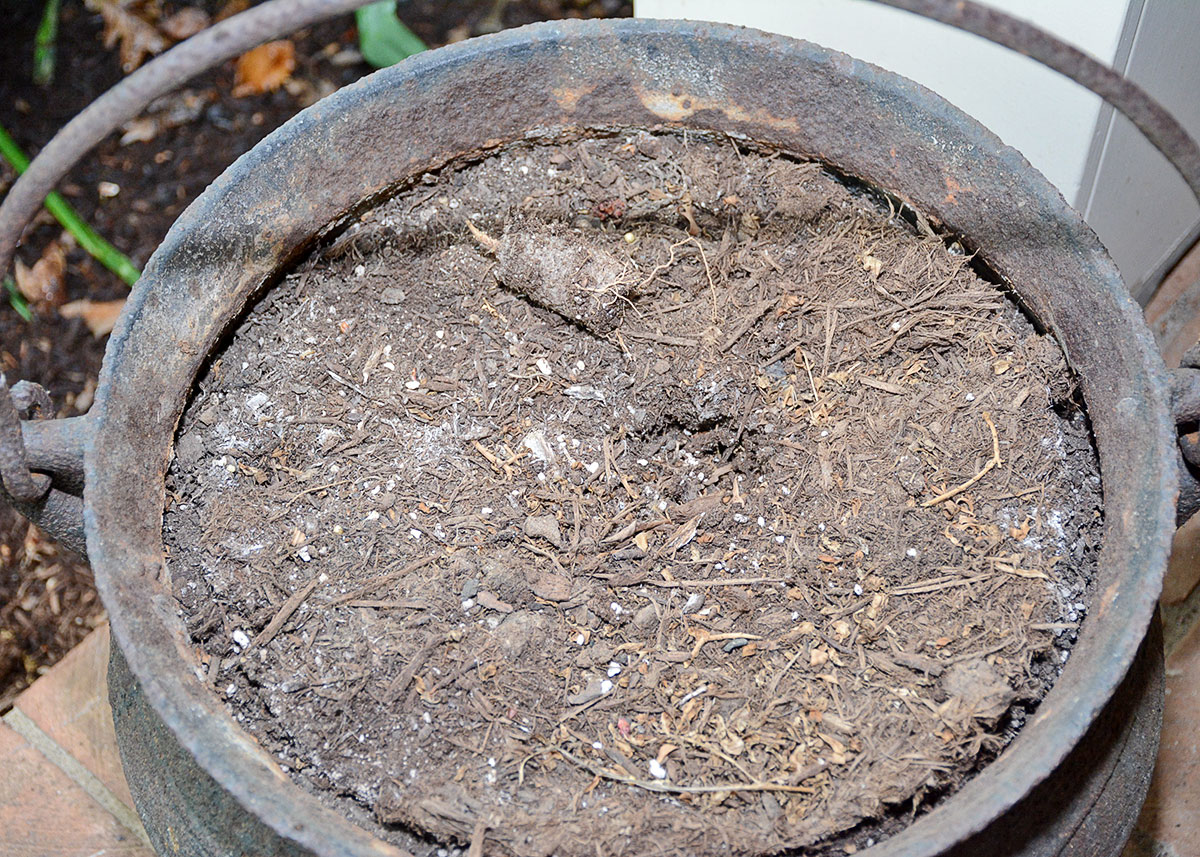 Vintage Cast Iron Cauldron