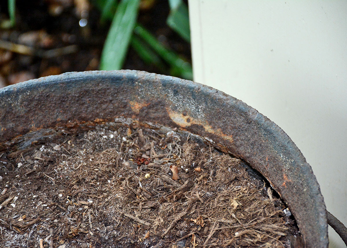 Vintage Cast Iron Cauldron