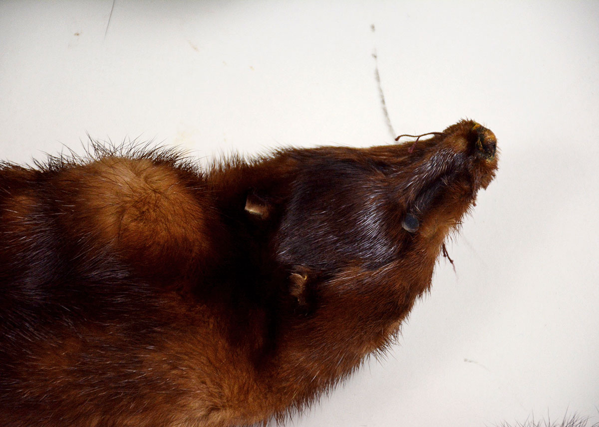 Three Piece Vintage Mink Stole