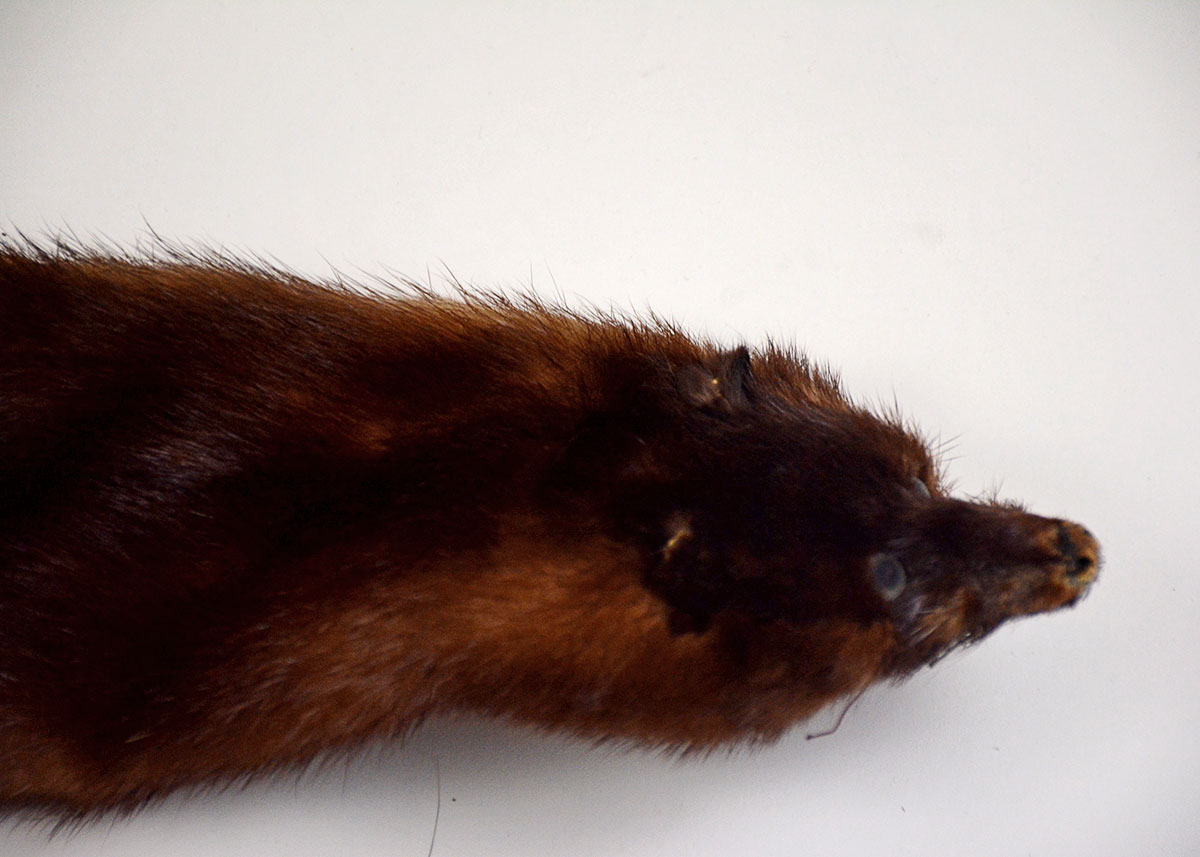 Three Piece Vintage Mink Stole