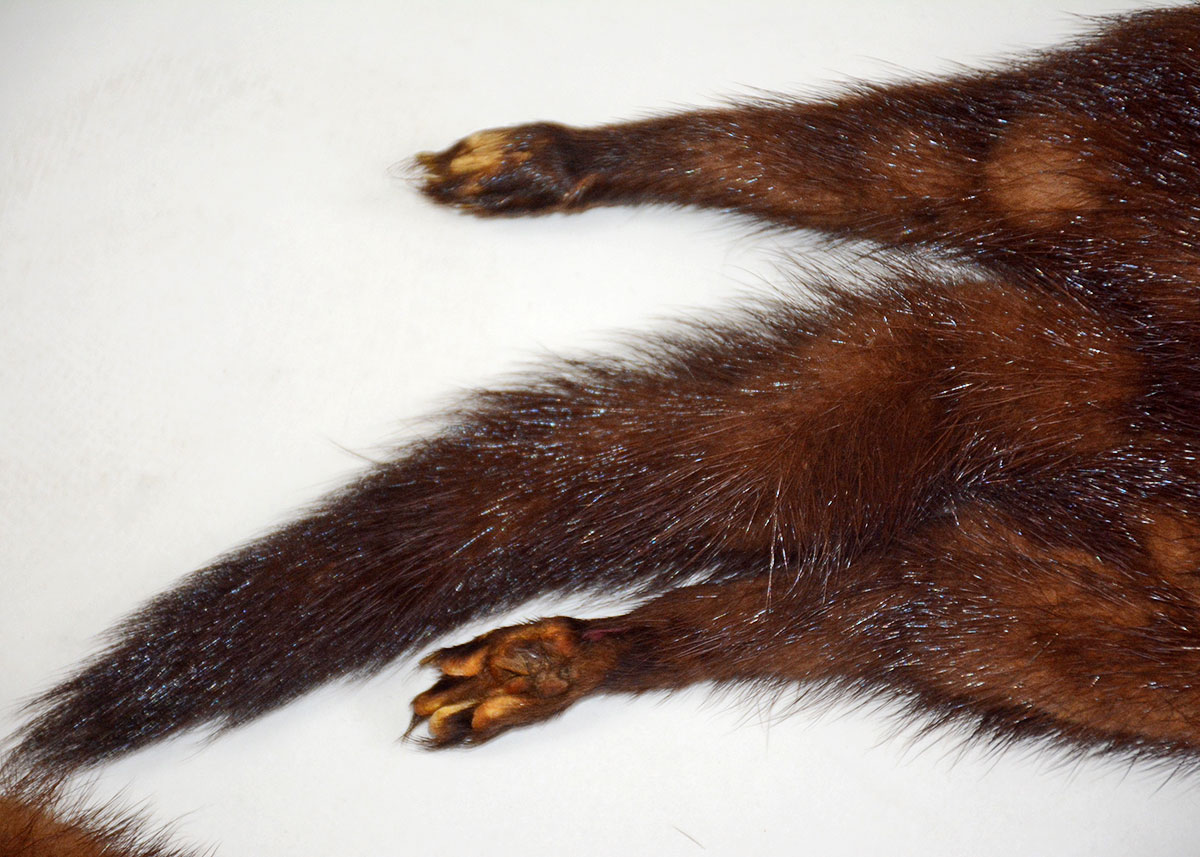 Three Piece Vintage Mink Stole