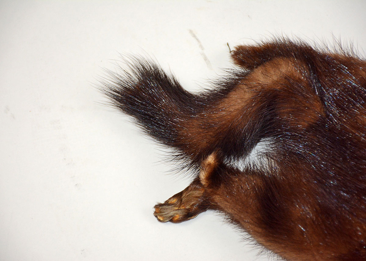 Three Piece Vintage Mink Stole