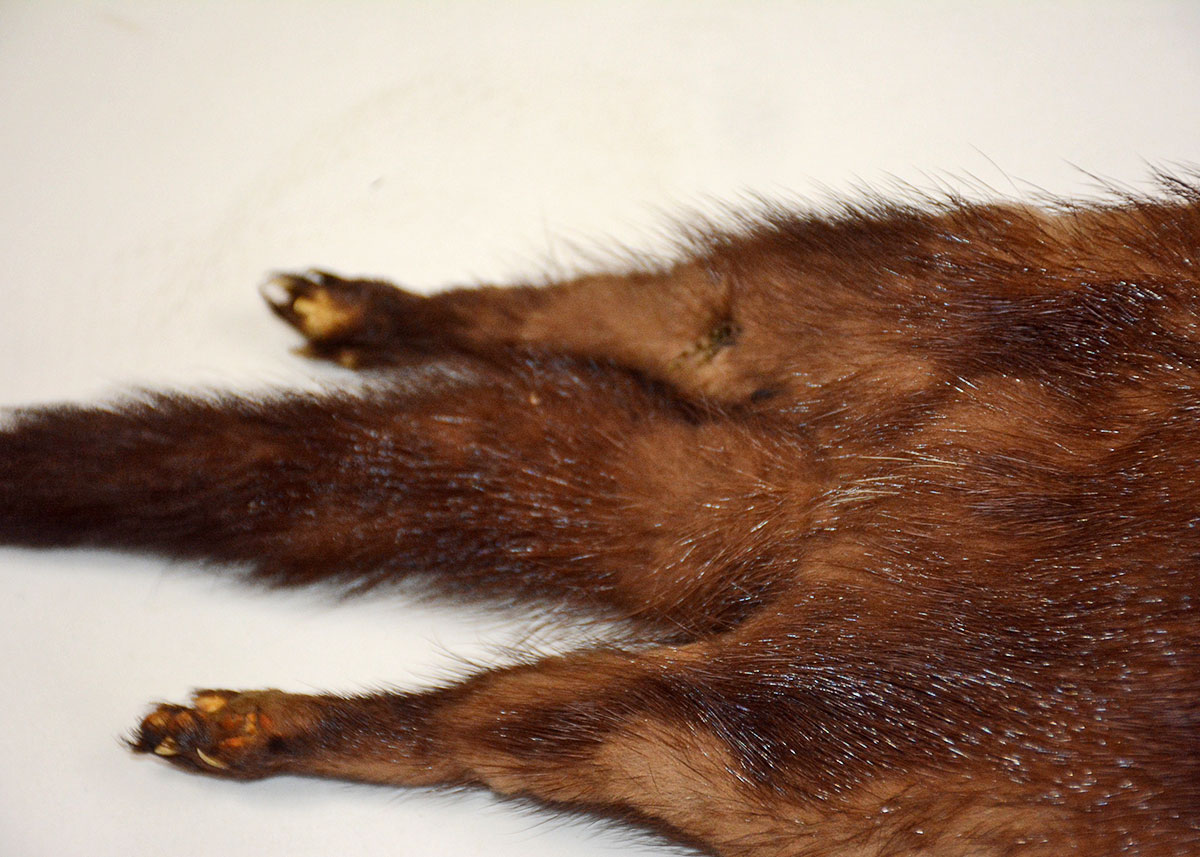 Three Piece Vintage Mink Stole