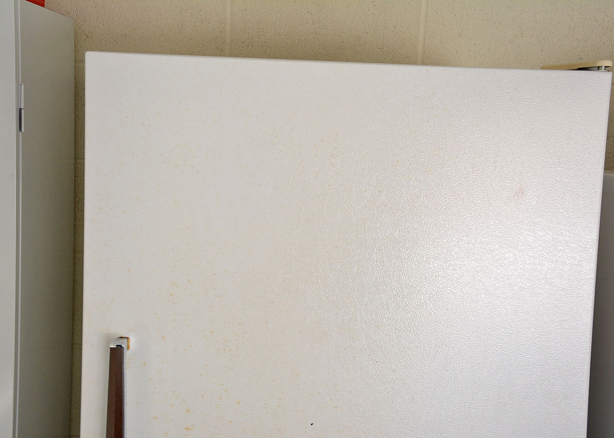 Sears Kenmore 15.1 Cubic Foot Locking Upright Freezer