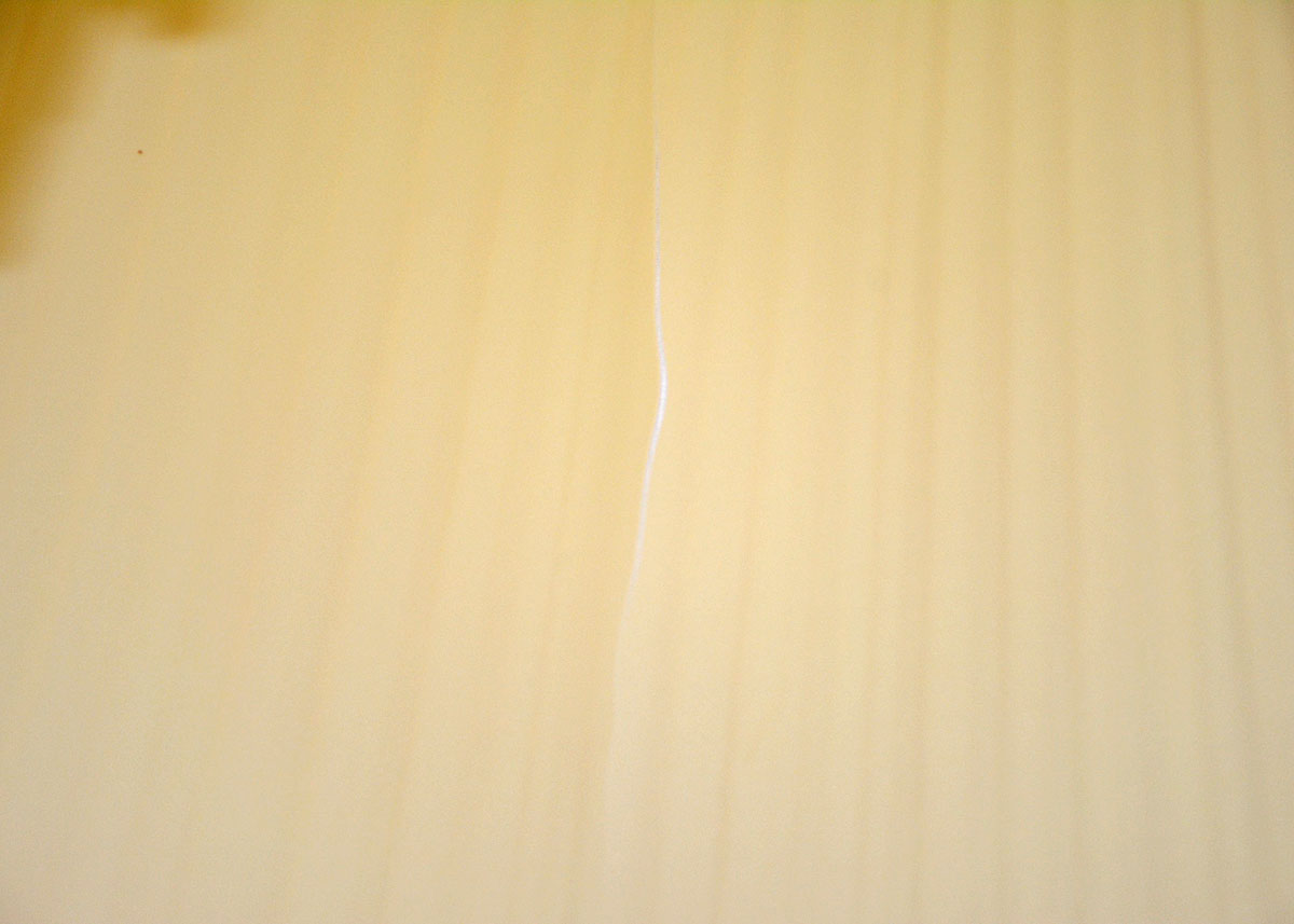 Floor Lamp with Fruitwood Tray Table