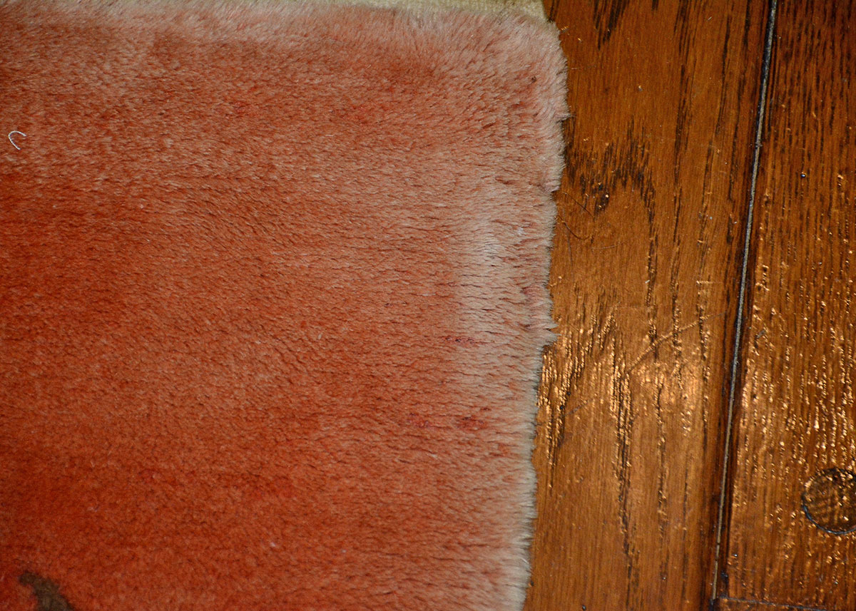 Soft Machine Made Asian Inspired Accent Rug