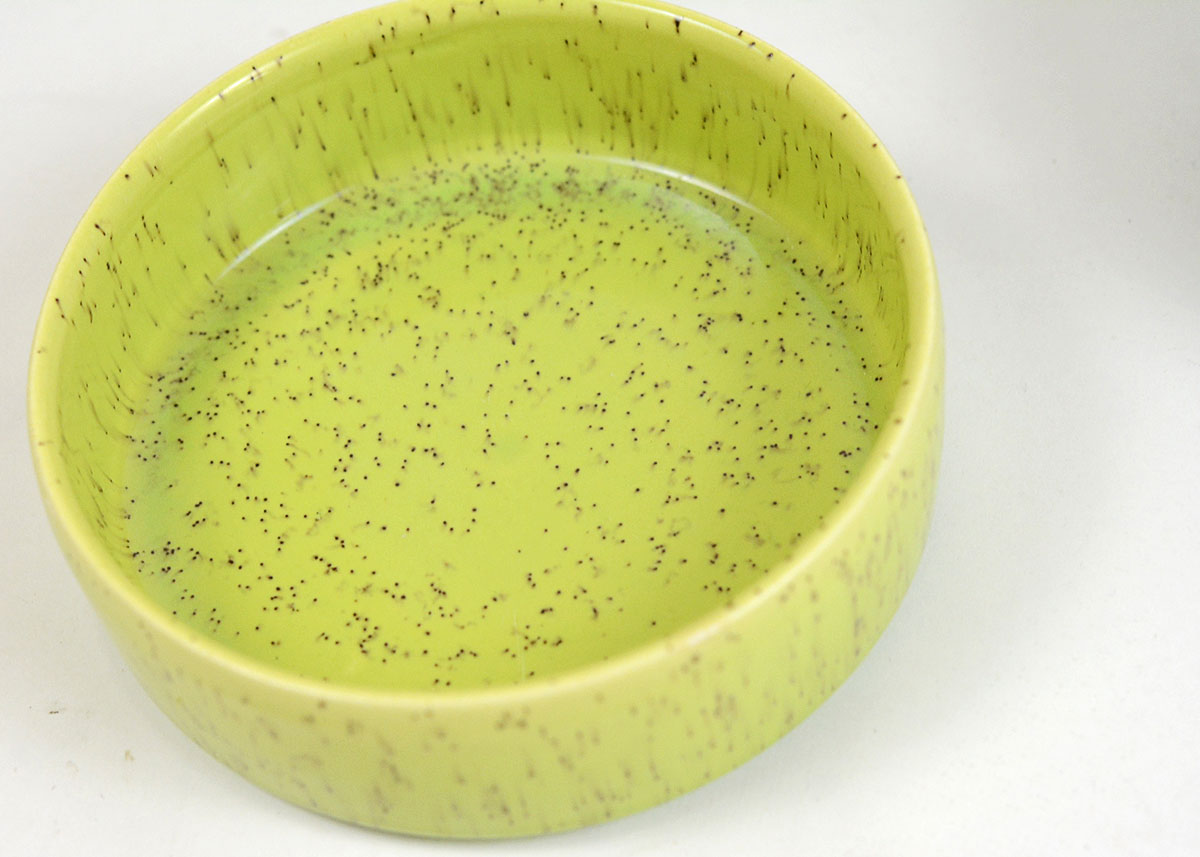 Pair of Ceramic Condiment Dishes in Shades of Green