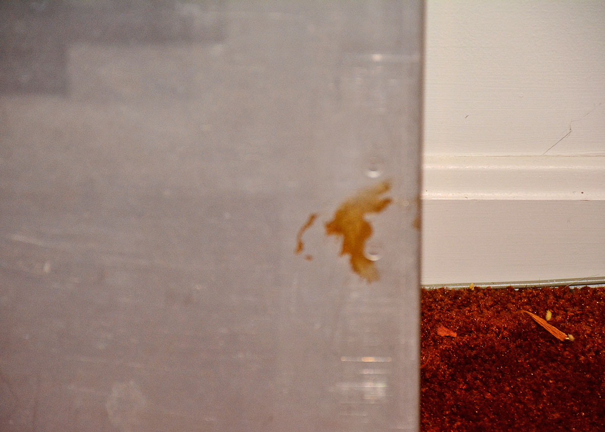 Vintage Alumafold Portable Folding Table