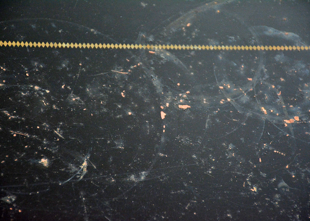 1960's Black Collapsible Cart by Relyon