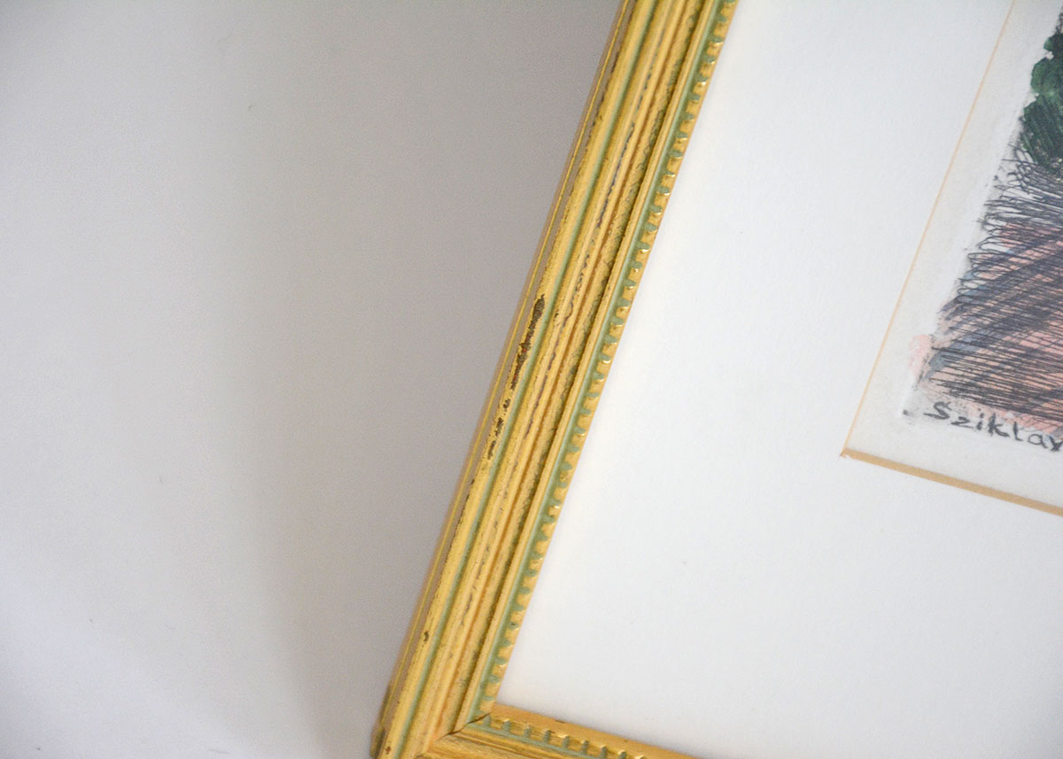 Framed Hand Colored Etching