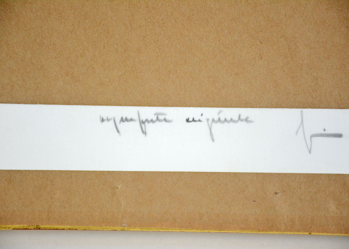 Framed Hand Colored Etching