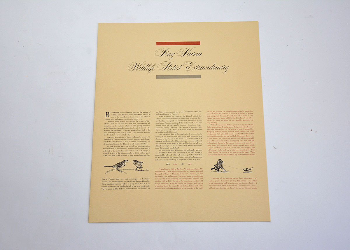 Baltimore Oriole Print By Ray Harm