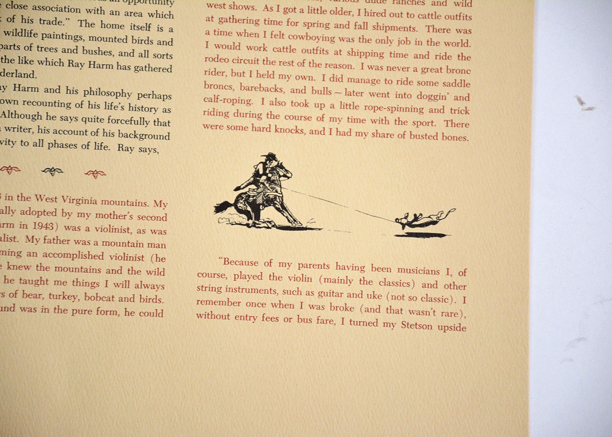 Baltimore Oriole Print By Ray Harm