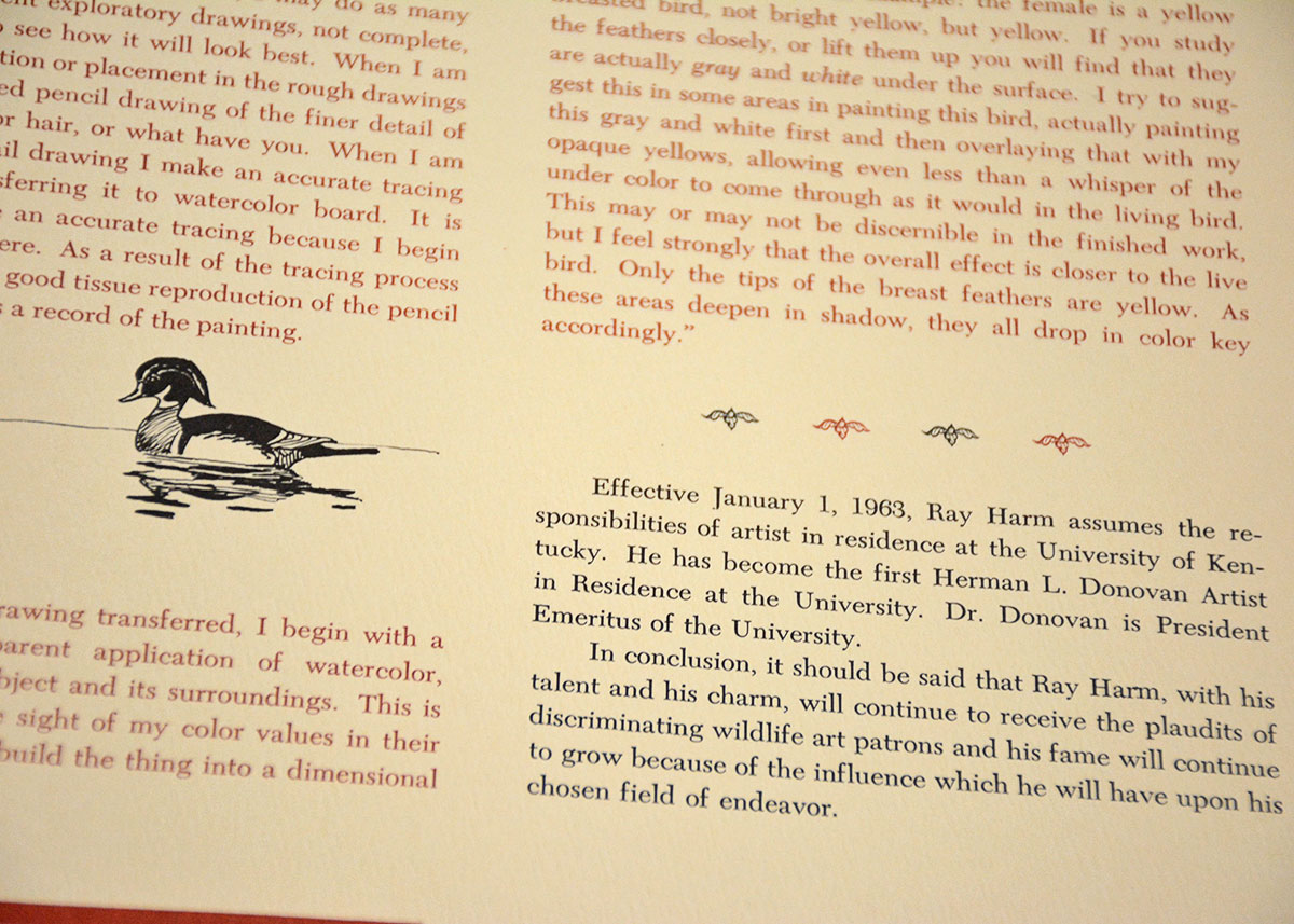 Baltimore Oriole Print By Ray Harm