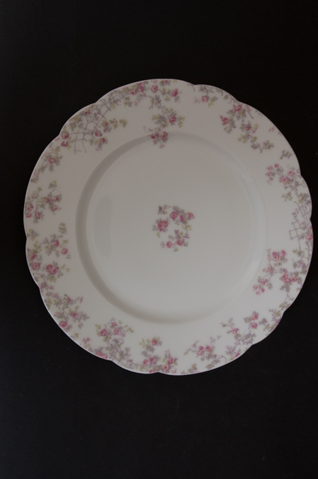 Antique Haviland For Fort Worth Dinnerware Set