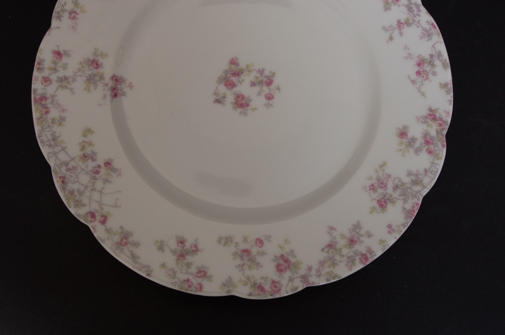 Antique Haviland For Fort Worth Dinnerware Set