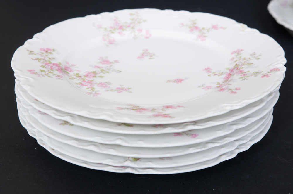 Antique Haviland For Fort Worth Dinnerware Set