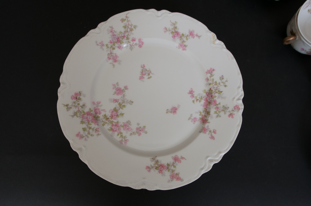 Antique Haviland For Fort Worth Dinnerware Set