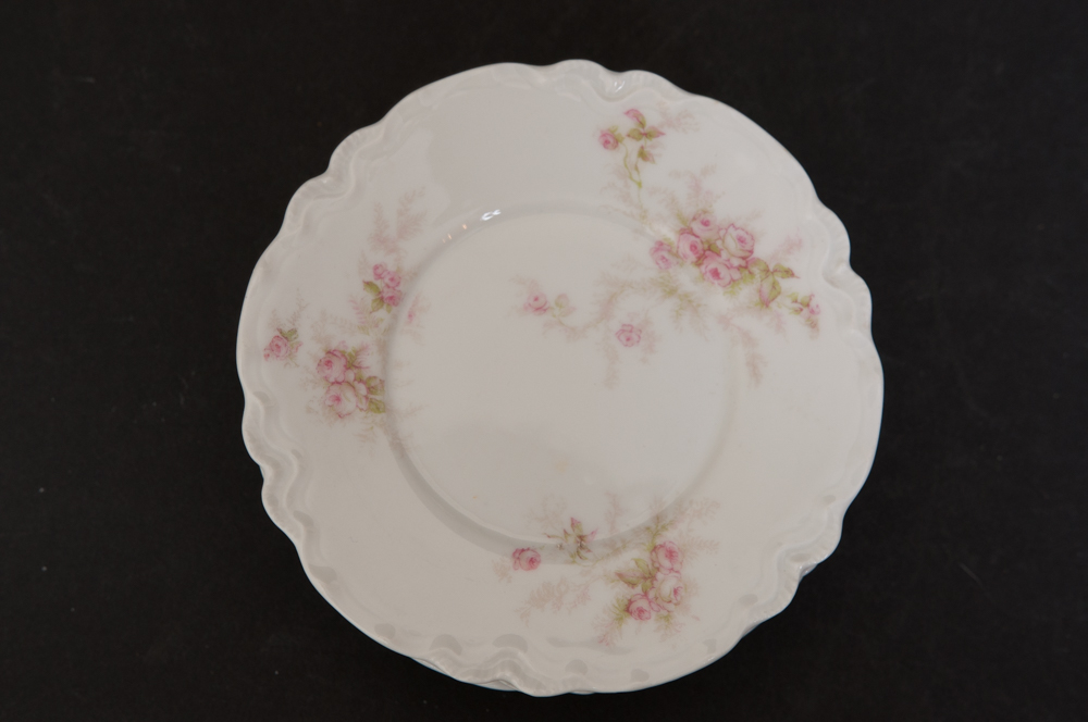 Antique Haviland For Fort Worth Dinnerware Set