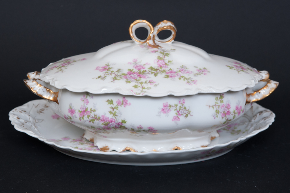 Antique Haviland For Fort Worth Dinnerware Set