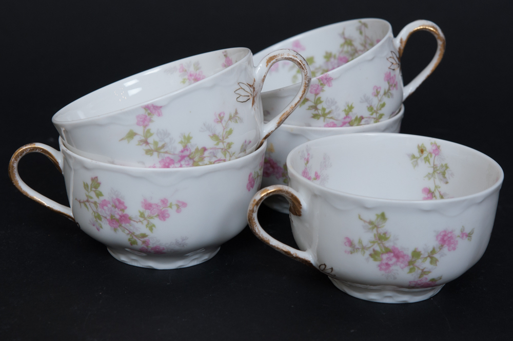 Antique Haviland For Fort Worth Dinnerware Set