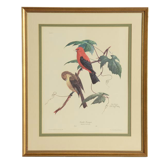 Ray Harm Signed Vintage Print "Scarlet Tanager"