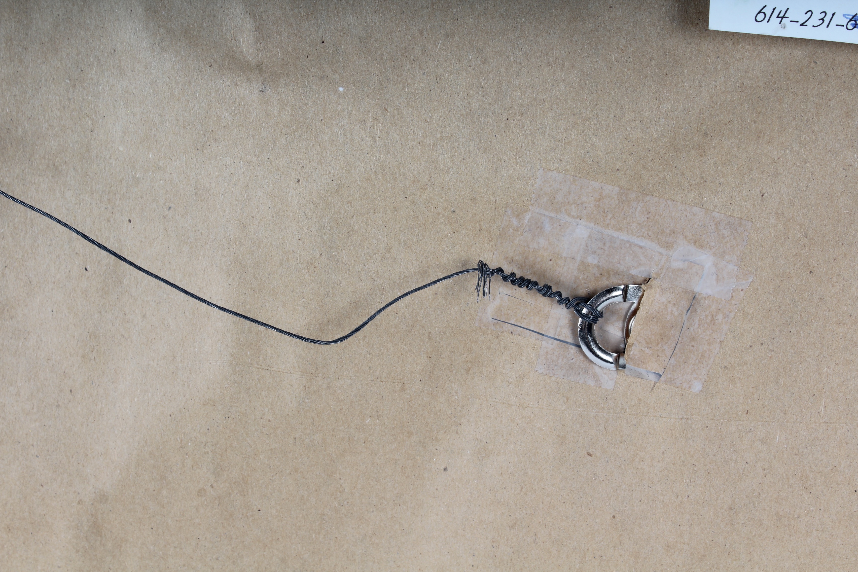 Coastal Landscape Watercolor by Joan T. Rosenblum