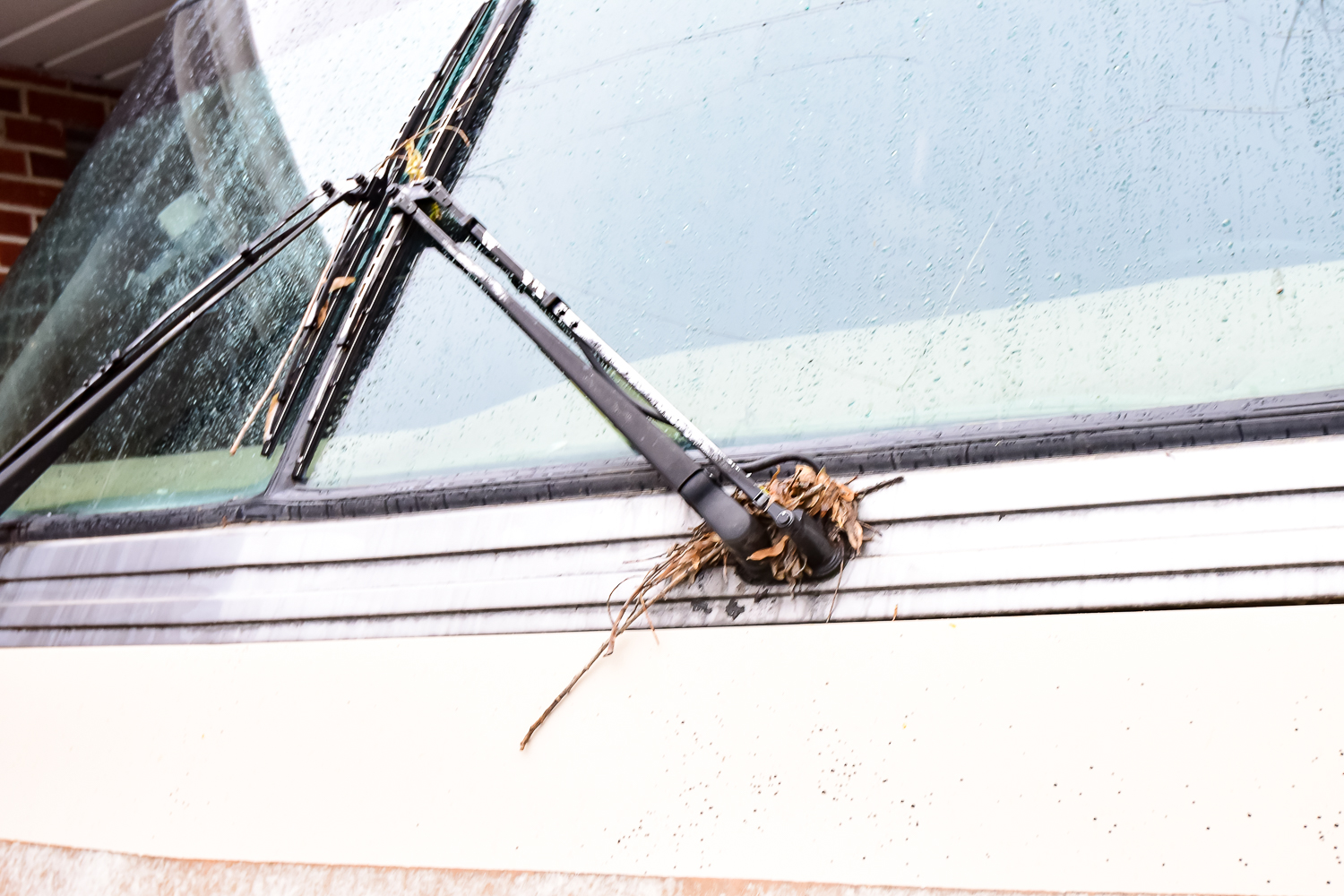 1987 Pace Arrow by Fleetwood Motorhomes