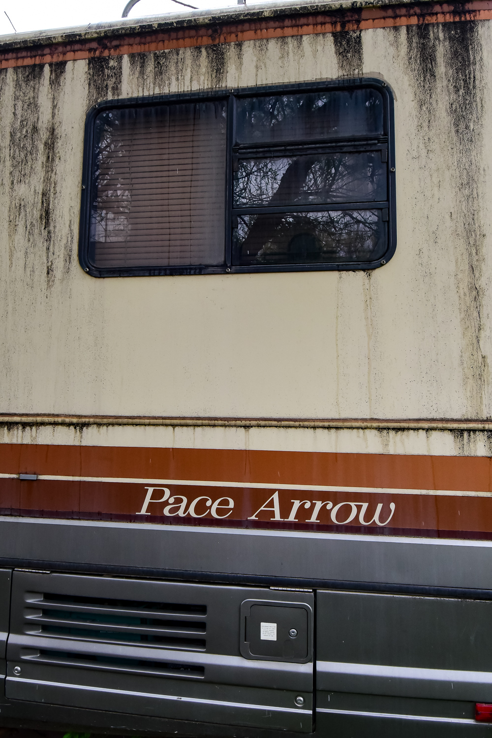 1987 Pace Arrow by Fleetwood Motorhomes