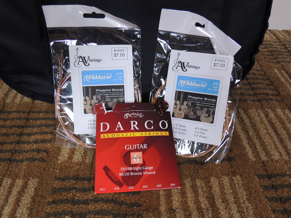 Sandner A-110 Acoustic Guitar with Case and Strings