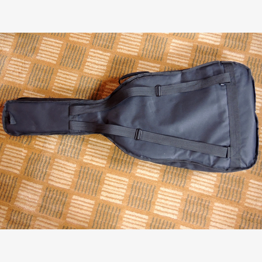 Sandner A-110 Acoustic Guitar with Case and Strings