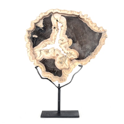 Petrified Wood Slab on Display Stand Petrified Wood Slab on Display Stand