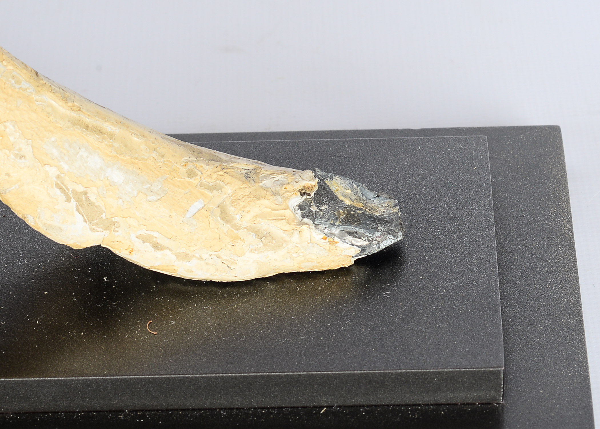 Pair of Architectural Artifact Lamps